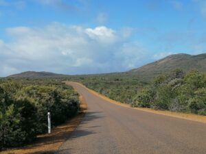 IMG_20250815_092816