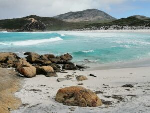 IMG_20250815_102525